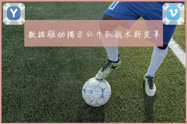 数据驱动揭示公牛队战术新变革