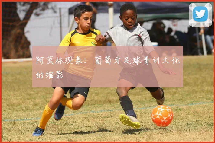 阿莫林现象：葡萄牙足球青训文化的缩影