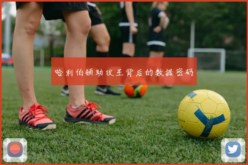 哈利伯顿助攻王背后的数据密码
