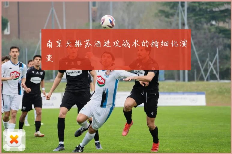 南京头排苏酒进攻战术的精细化演变