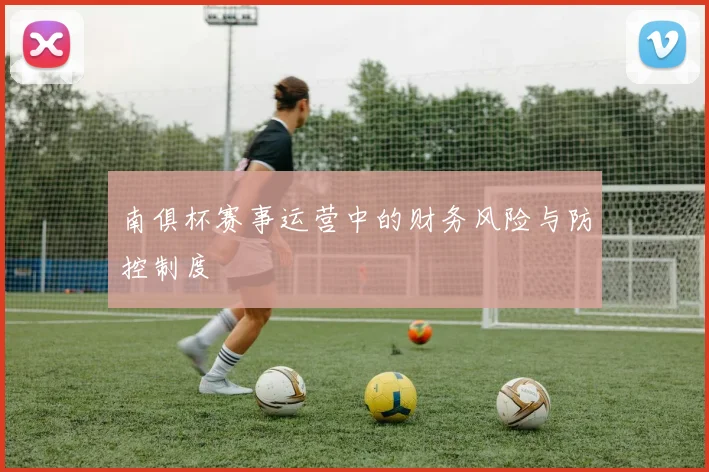 南俱杯赛事运营中的财务风险与防控制度