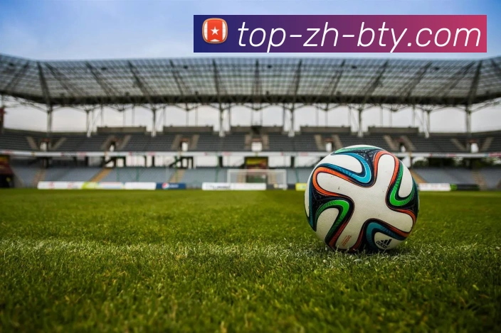 运动提升生活品质全面解析身体活动对健康、心理与社交的积极影响